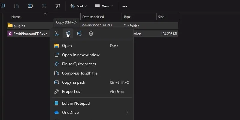 coppy 2 file như hình