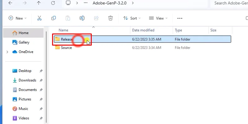 Lightroom 2023 Tải - Cài đặt Và Kích hoạt 15 vào thư mục như hình