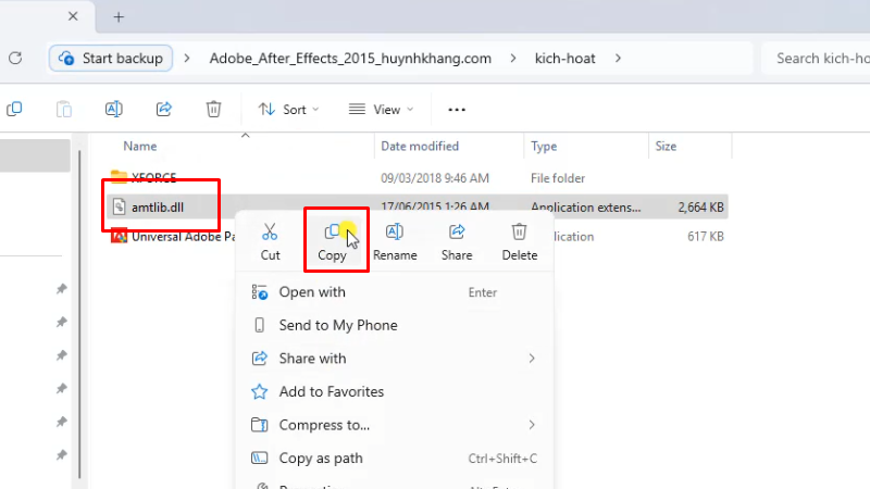 Tải Adobe After Effects 2015 - Hướng dẫn chi tiết 11 Copy file amtlib