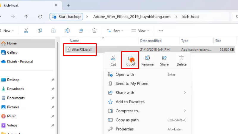 Copy file như hình