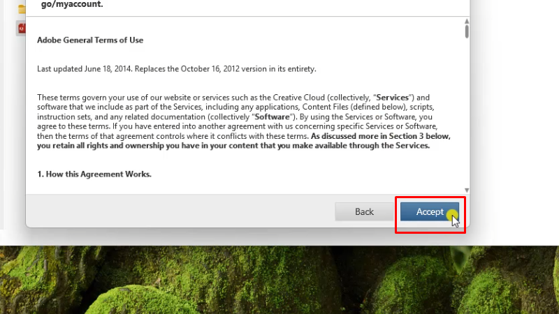 Tải Lightroom 2017: Hướng Dẫn Cài chi tiết 41 Bấm vào Accept