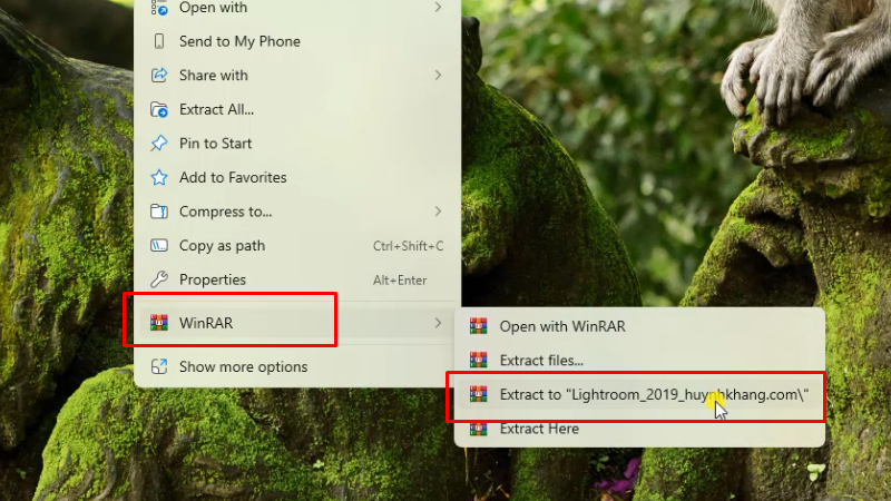 Adobe Lightroom 2019: Hướng dẫn chi tiết & Tải xuống 25 Giải nén phần mềm Lightroom 2019