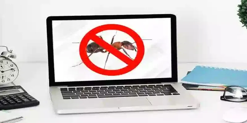 kien chui vao laptop 5