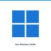 Key Windows Bản Quyền Chính Hãng (OEM) 2 hk product 26172 v4